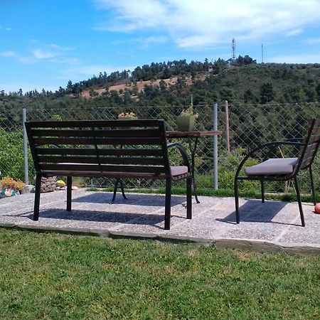 帕利乌里翁Alexandra'S Garden公寓 外观 照片