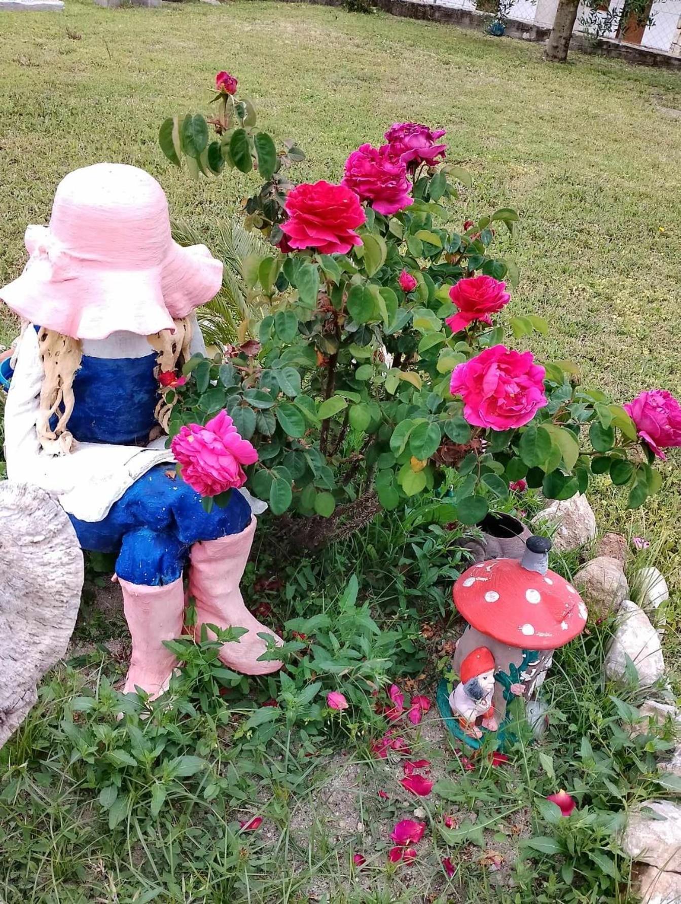 帕利乌里翁Alexandra'S Garden公寓 外观 照片