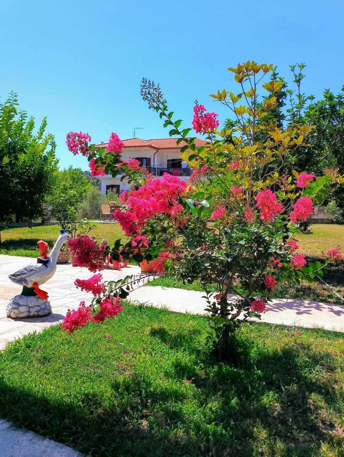 帕利乌里翁Alexandra'S Garden公寓 外观 照片
